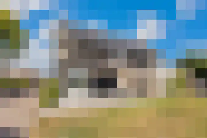 Rijdt 27 Horssen thumbnail 45