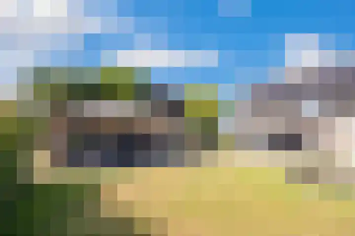 Rijdt 27 Horssen thumbnail 46