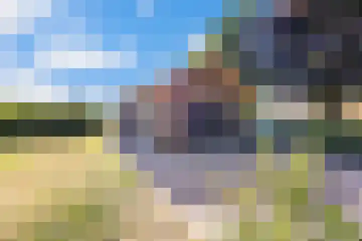 Rijdt 27 Horssen thumbnail 47