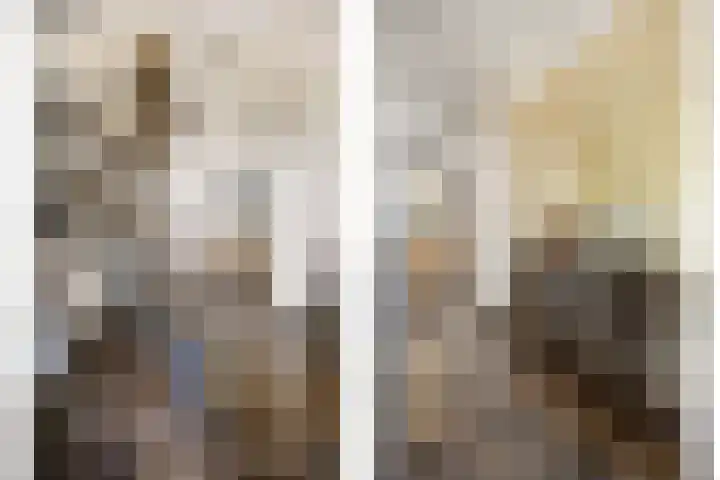 Rijdt 27 Horssen thumbnail 5