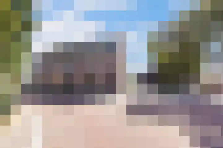 Rijdt 27 Horssen thumbnail 50