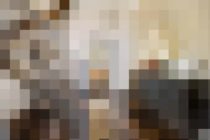 Rijdt 27 Horssen thumbnail 6