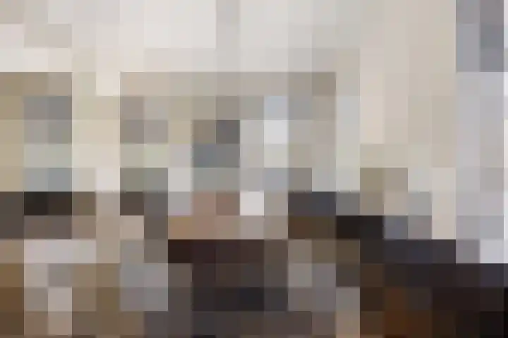Rijdt 27 Horssen thumbnail 7