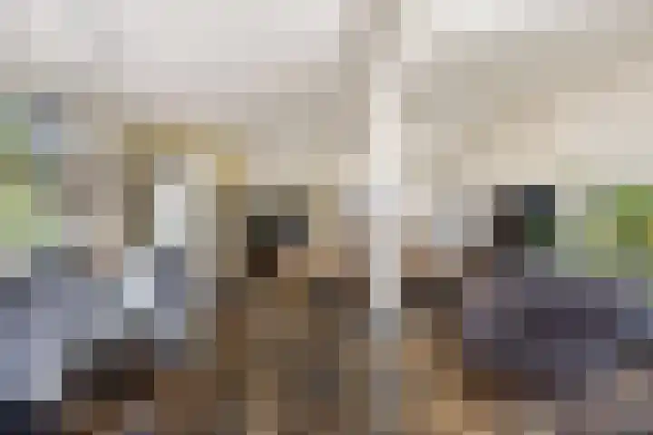 Rijdt 27 Horssen thumbnail 9