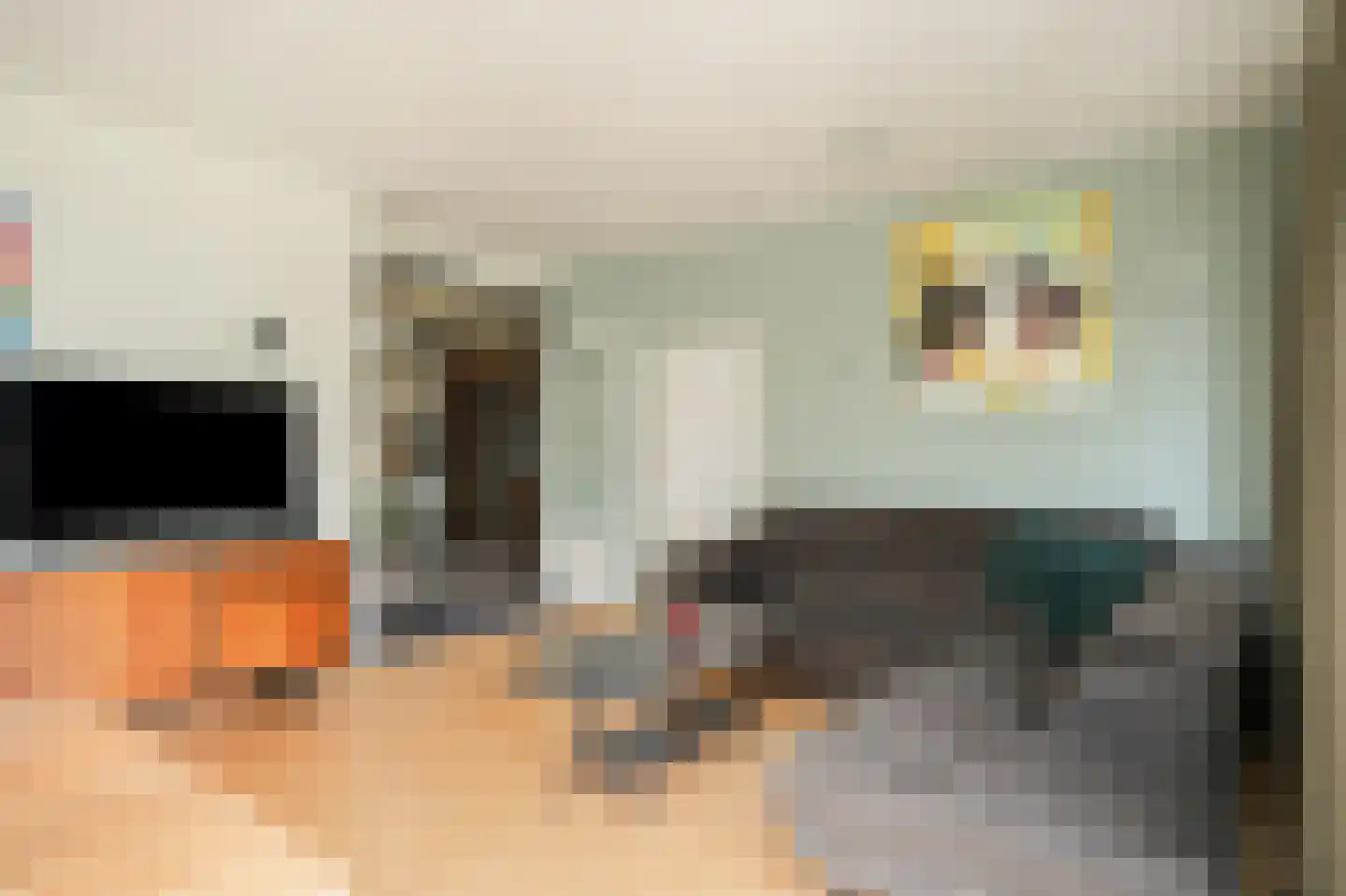 Rijdt 33 Horssen thumbnail 12