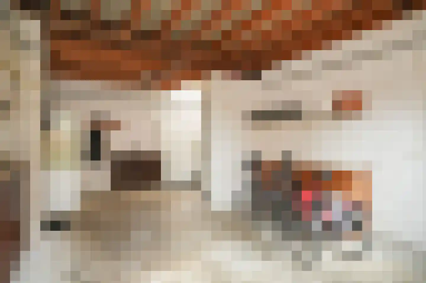 Rijdt 33 Horssen thumbnail 33