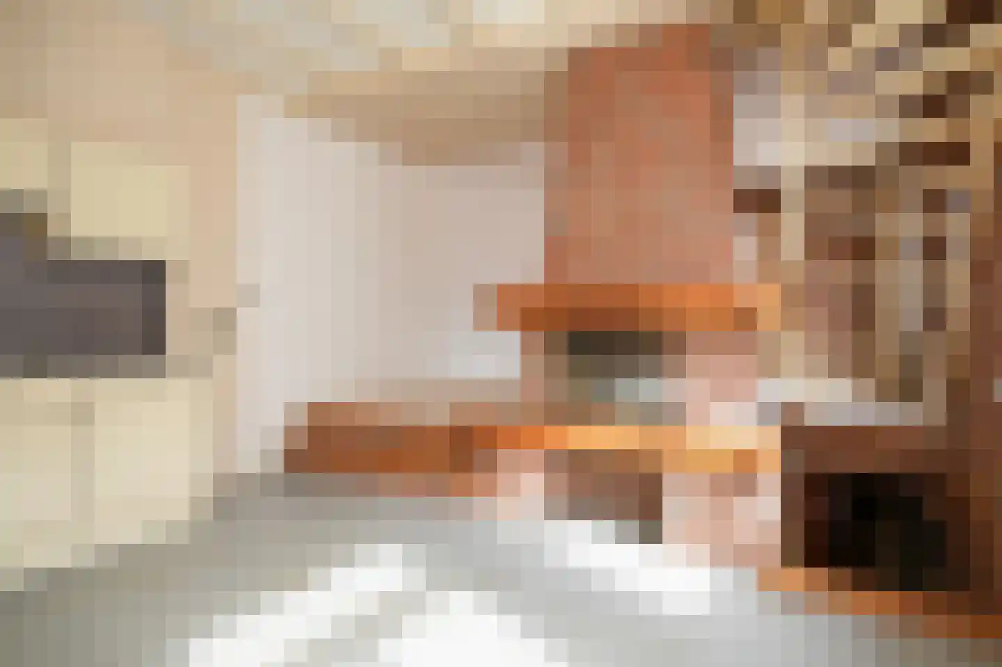 Rijdt 33 Horssen thumbnail 36