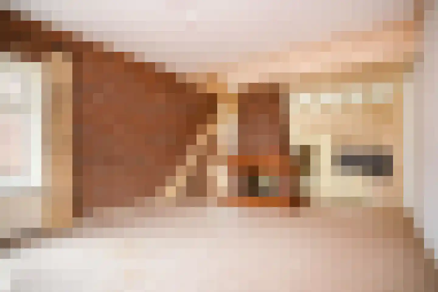 Rijdt 33 Horssen thumbnail 44