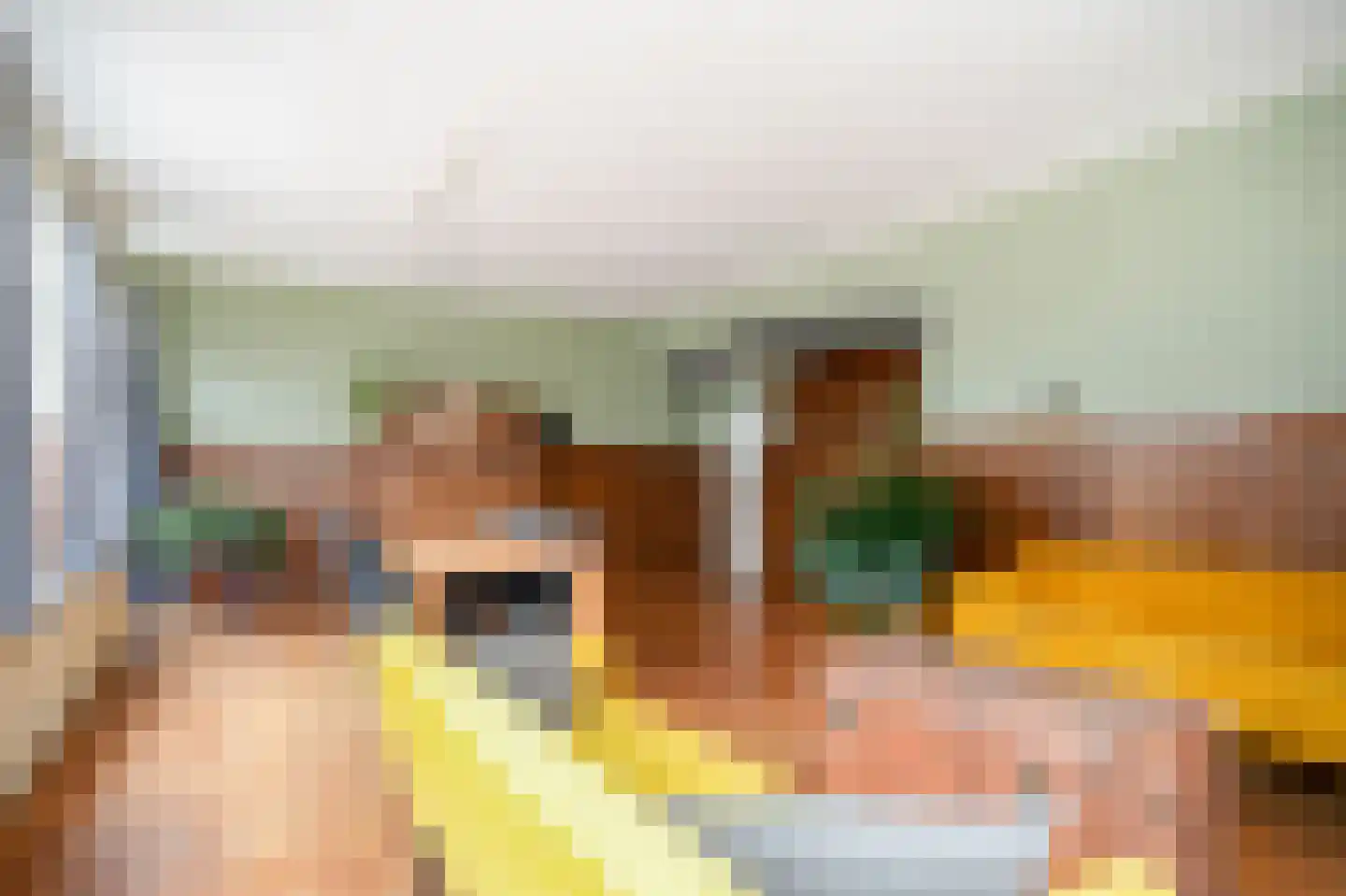 Rijdt 33 Horssen thumbnail 5