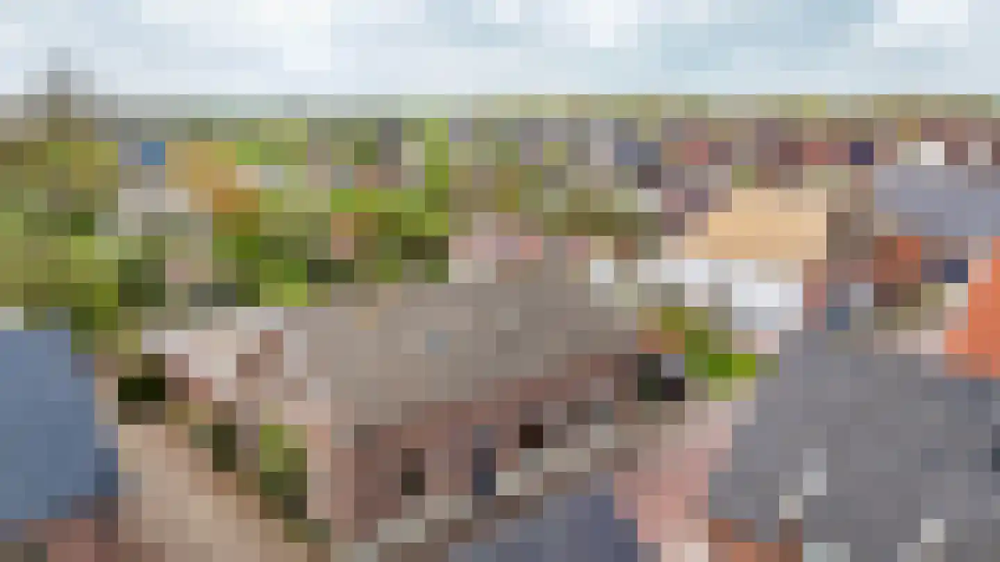 Rijdt 33 Horssen thumbnail 50