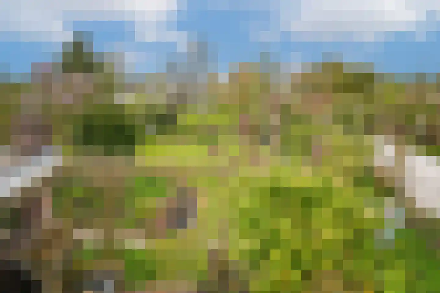 Rijdt 33 Horssen thumbnail 52