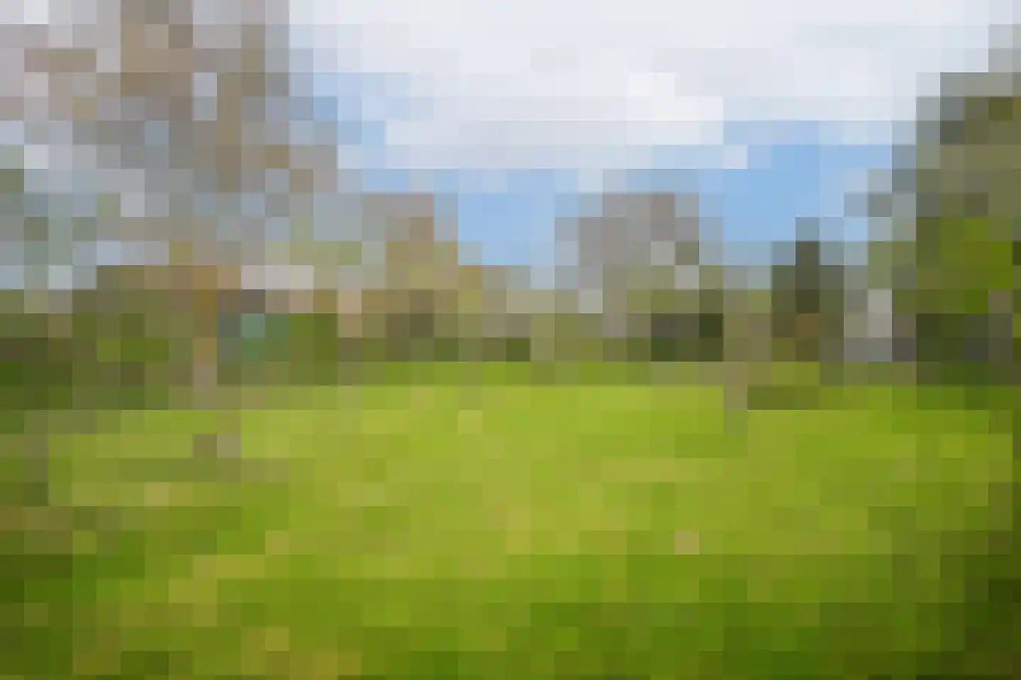Rijdt 33 Horssen thumbnail 53