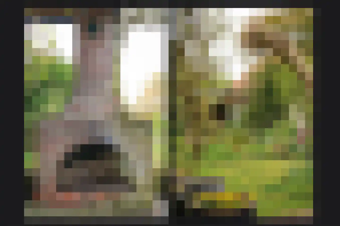 Rijdt 33 Horssen thumbnail 55