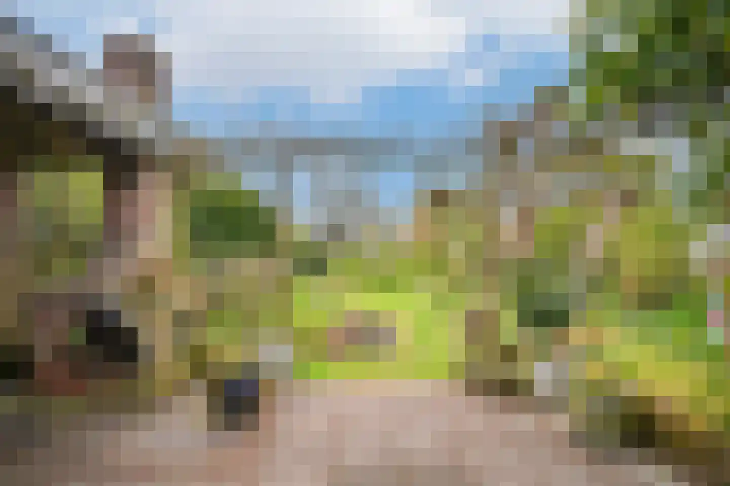 Rijdt 33 Horssen thumbnail 56