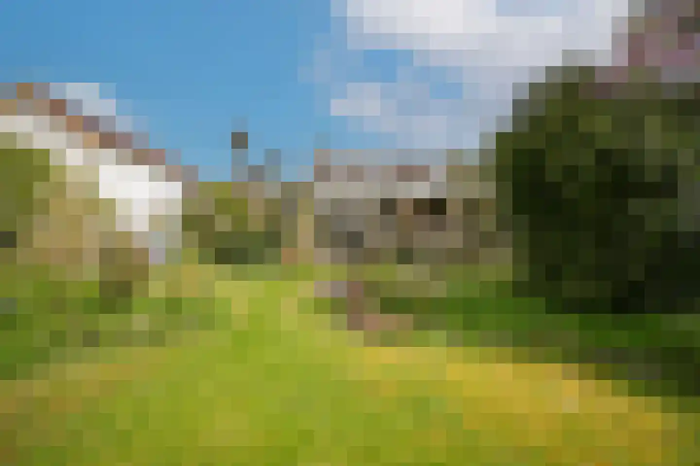 Rijdt 33 Horssen thumbnail 59