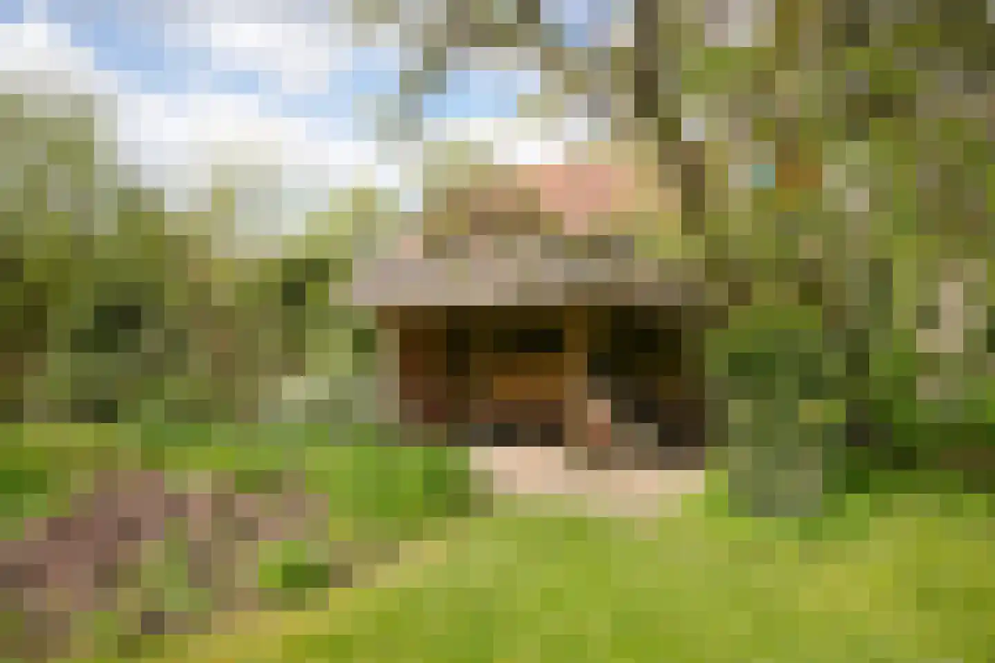 Rijdt 33 Horssen thumbnail 61