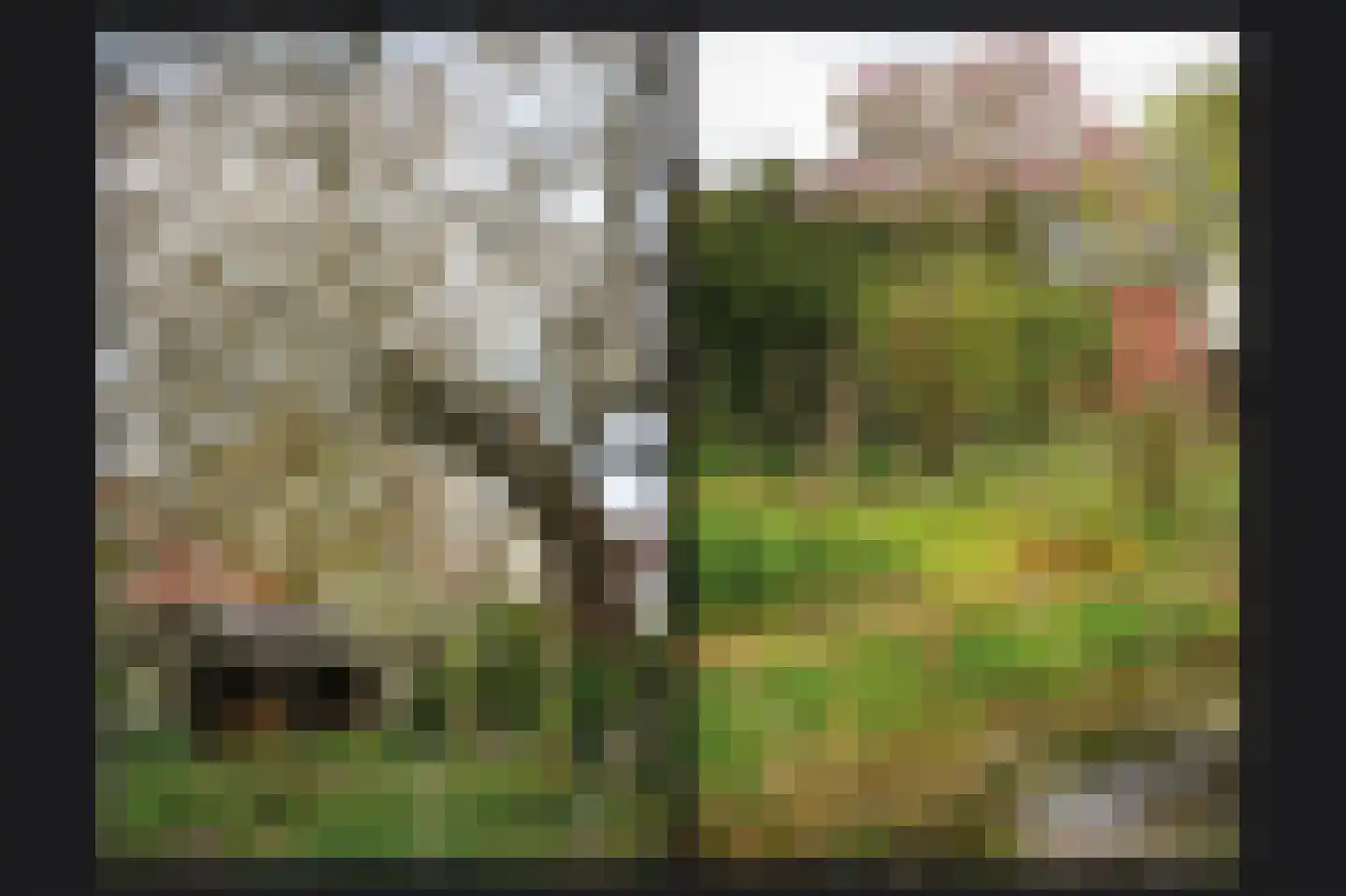 Rijdt 33 Horssen thumbnail 62