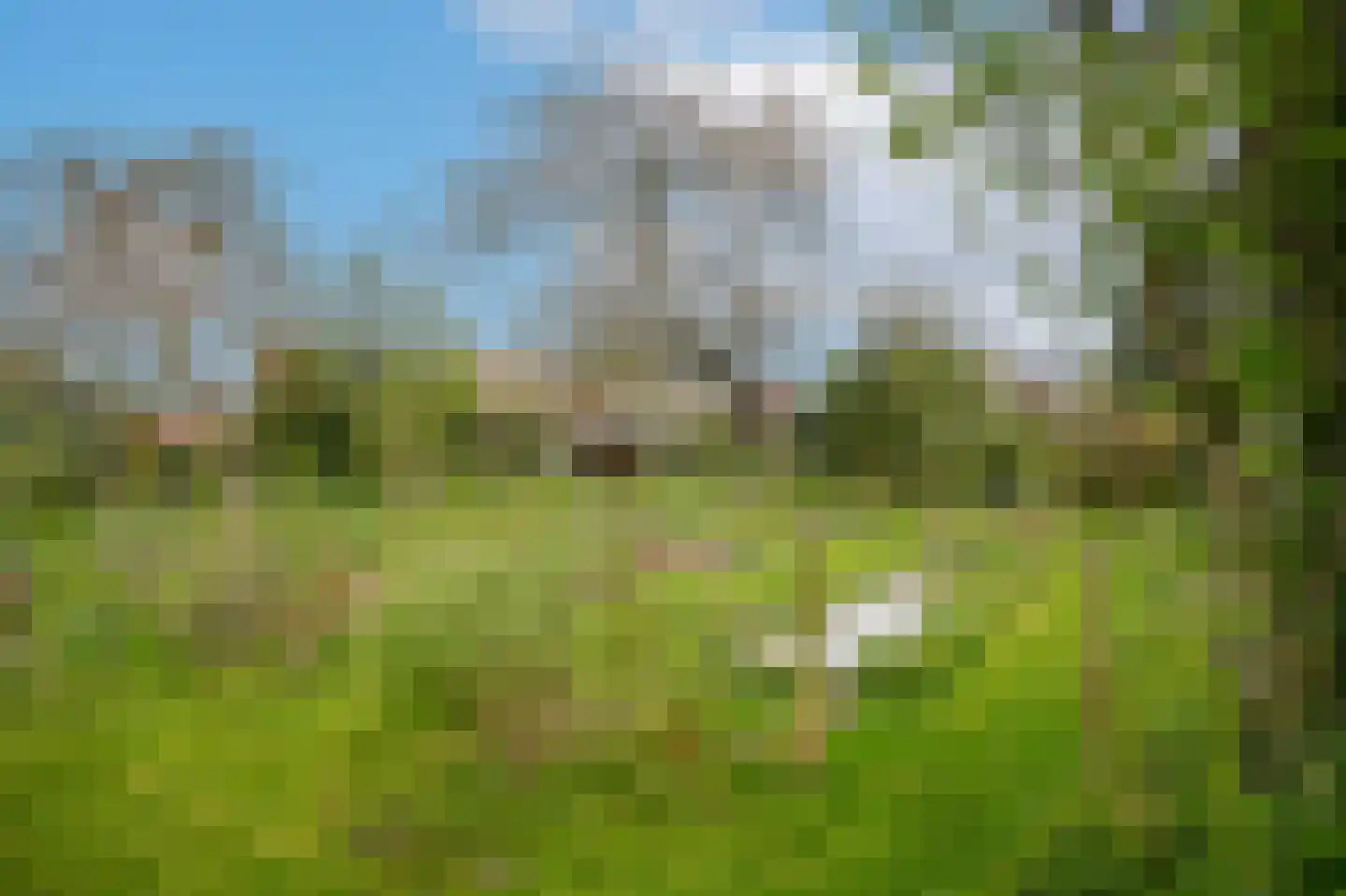 Rijdt 33 Horssen thumbnail 66