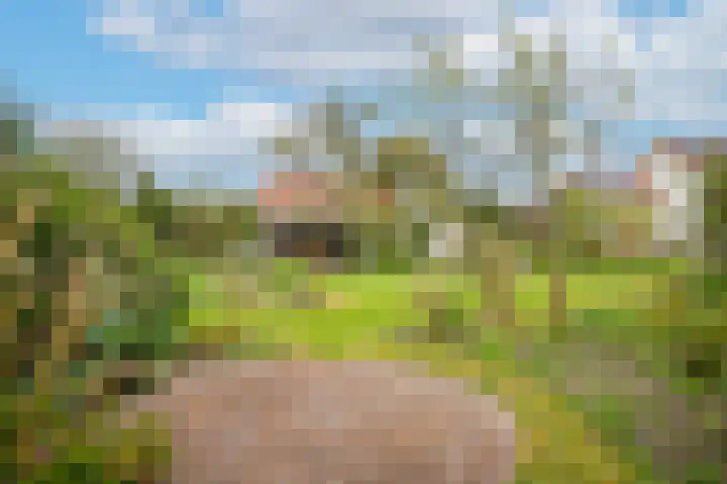 Rijdt 33 Horssen thumbnail 67