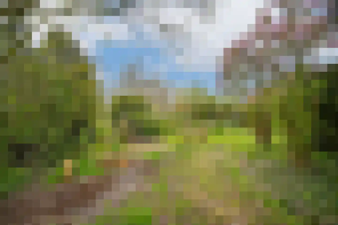 Rijdt 33 Horssen thumbnail 68