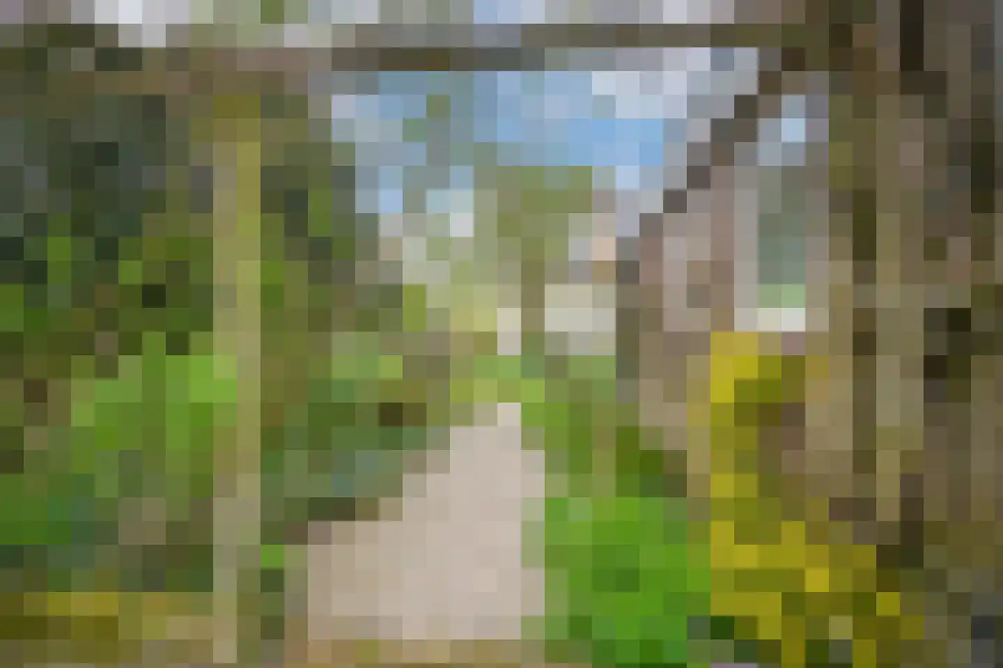 Rijdt 33 Horssen thumbnail 69