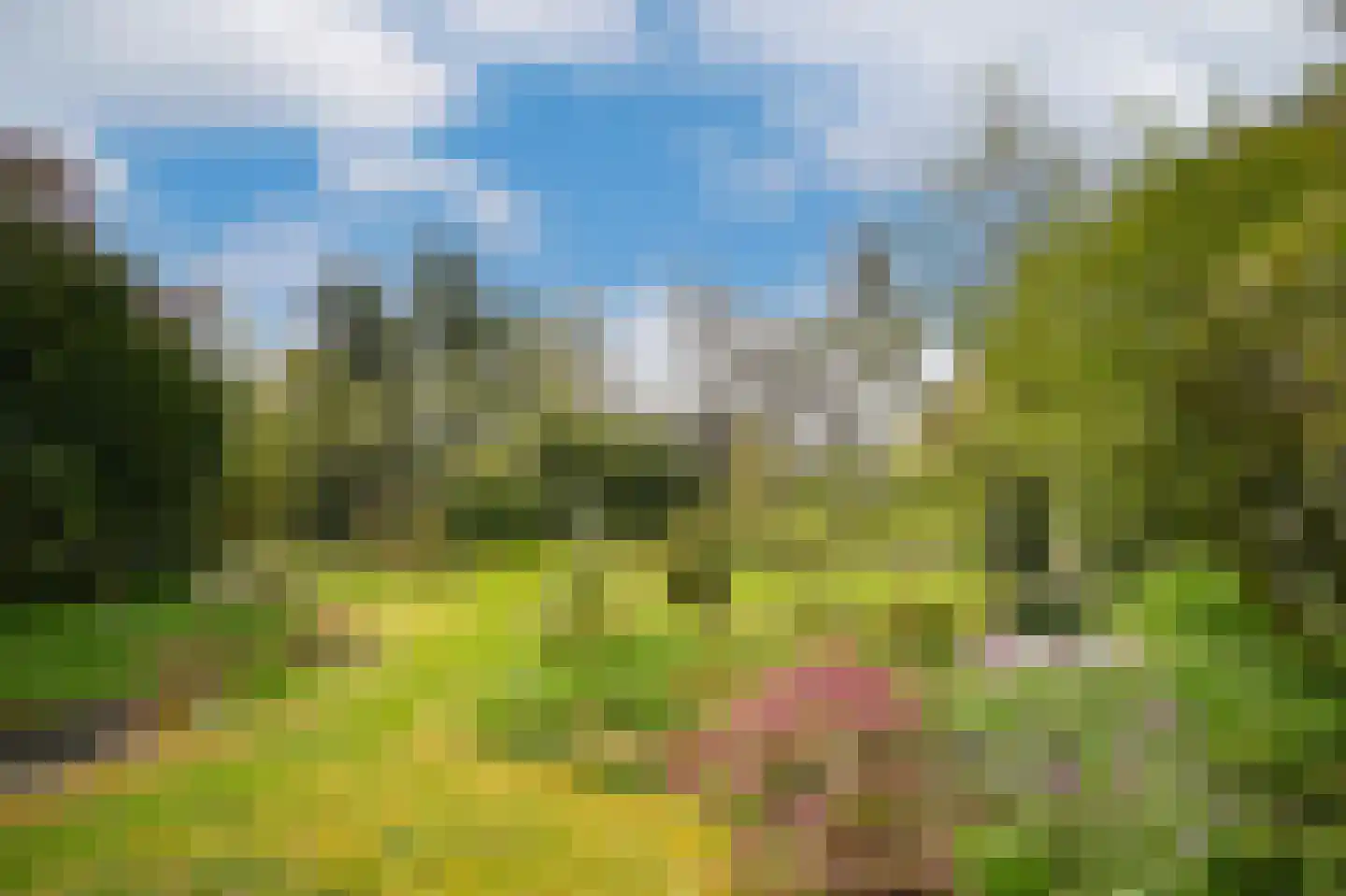 Rijdt 33 Horssen thumbnail 74