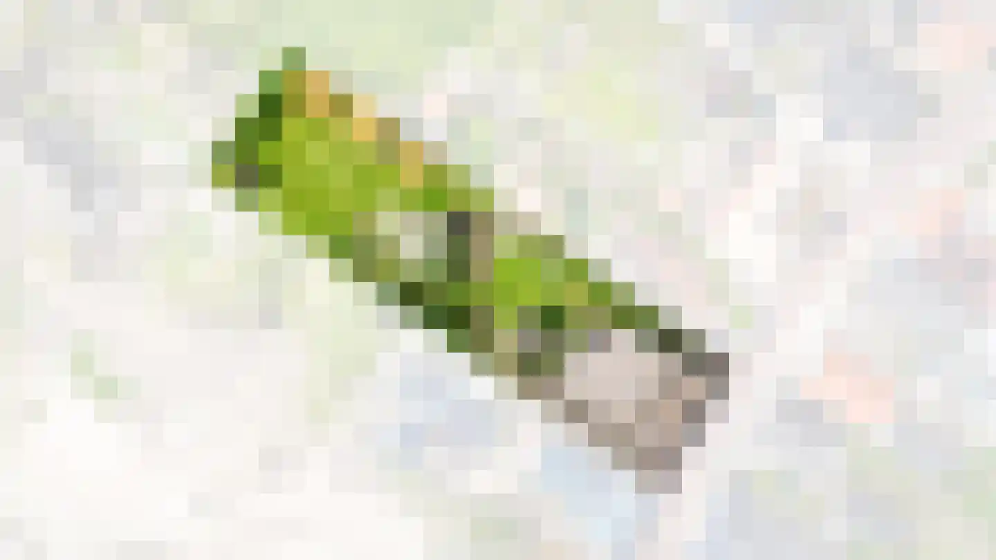 Rijdt 33 Horssen thumbnail 76