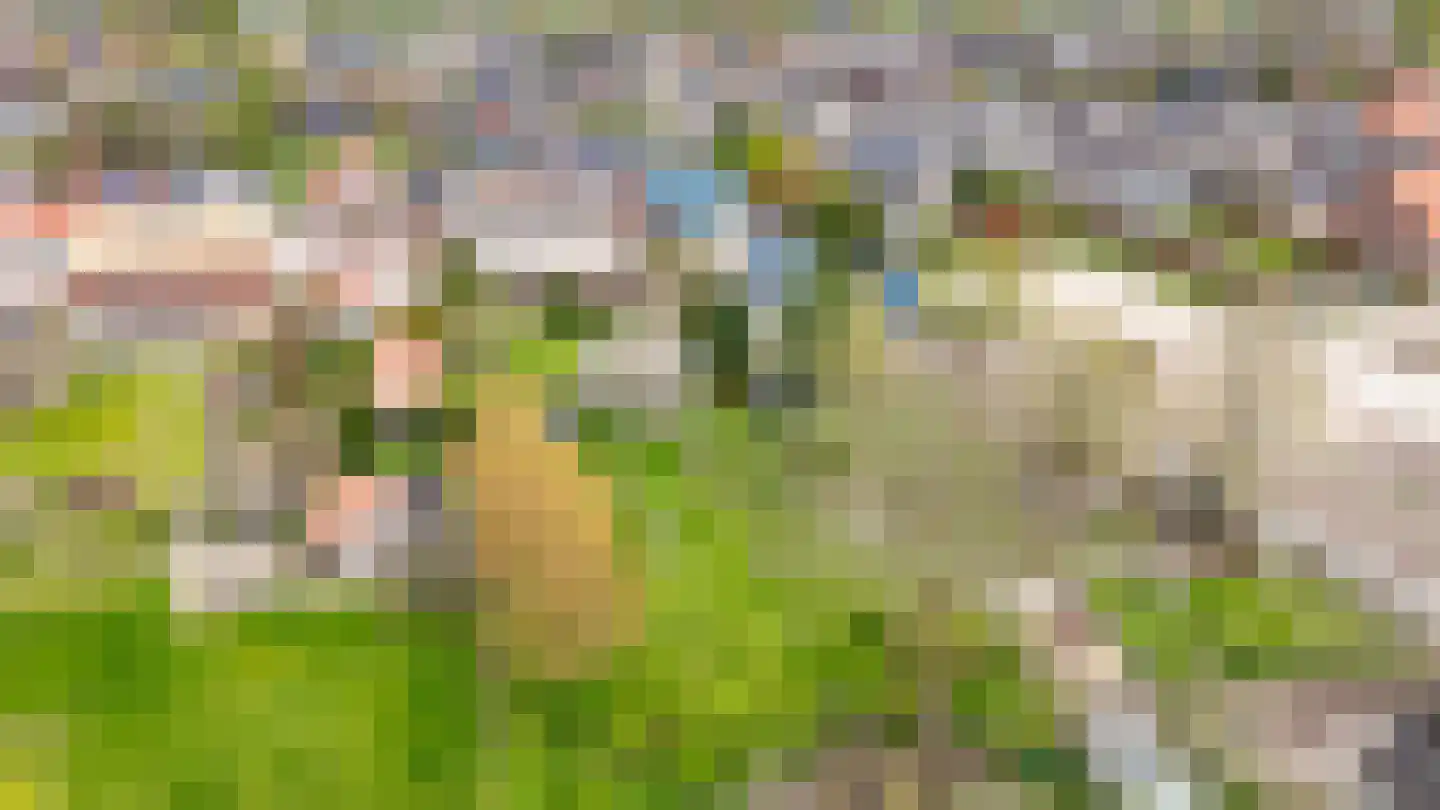 Rijdt 33 Horssen thumbnail 77