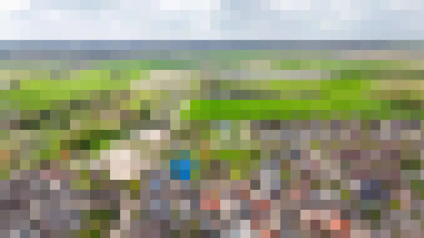 Rijdt 33 Horssen thumbnail 78