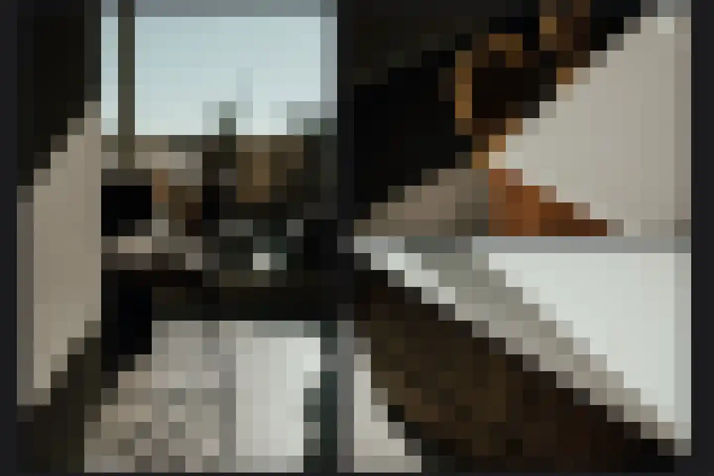 Rijdt 52 C Horssen thumbnail 14