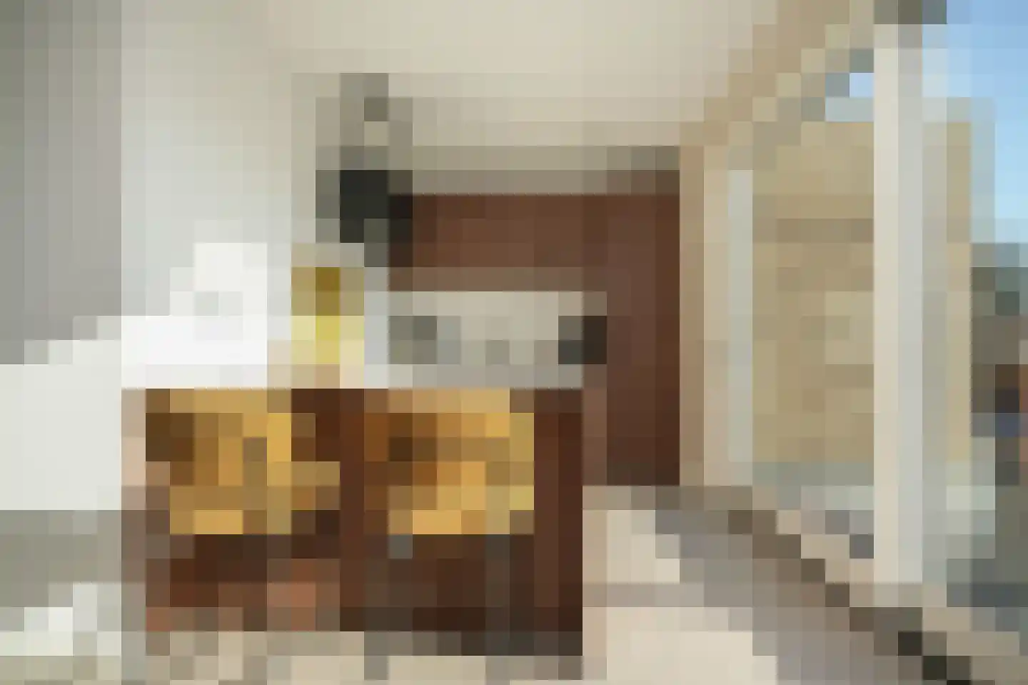 Rijdt 52 C Horssen thumbnail 5