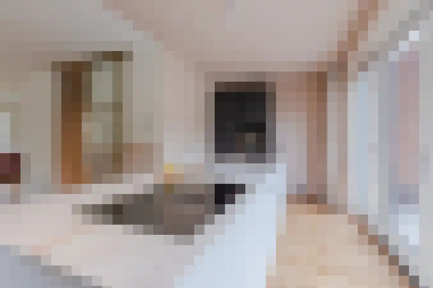 Rijdt 54 G Horssen thumbnail 12