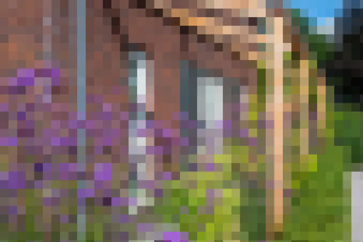 Rijdt 54 G Horssen thumbnail 13