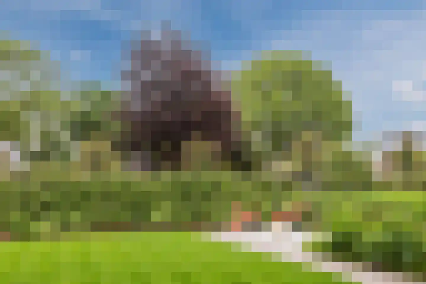 Rijdt 54 G Horssen thumbnail 32