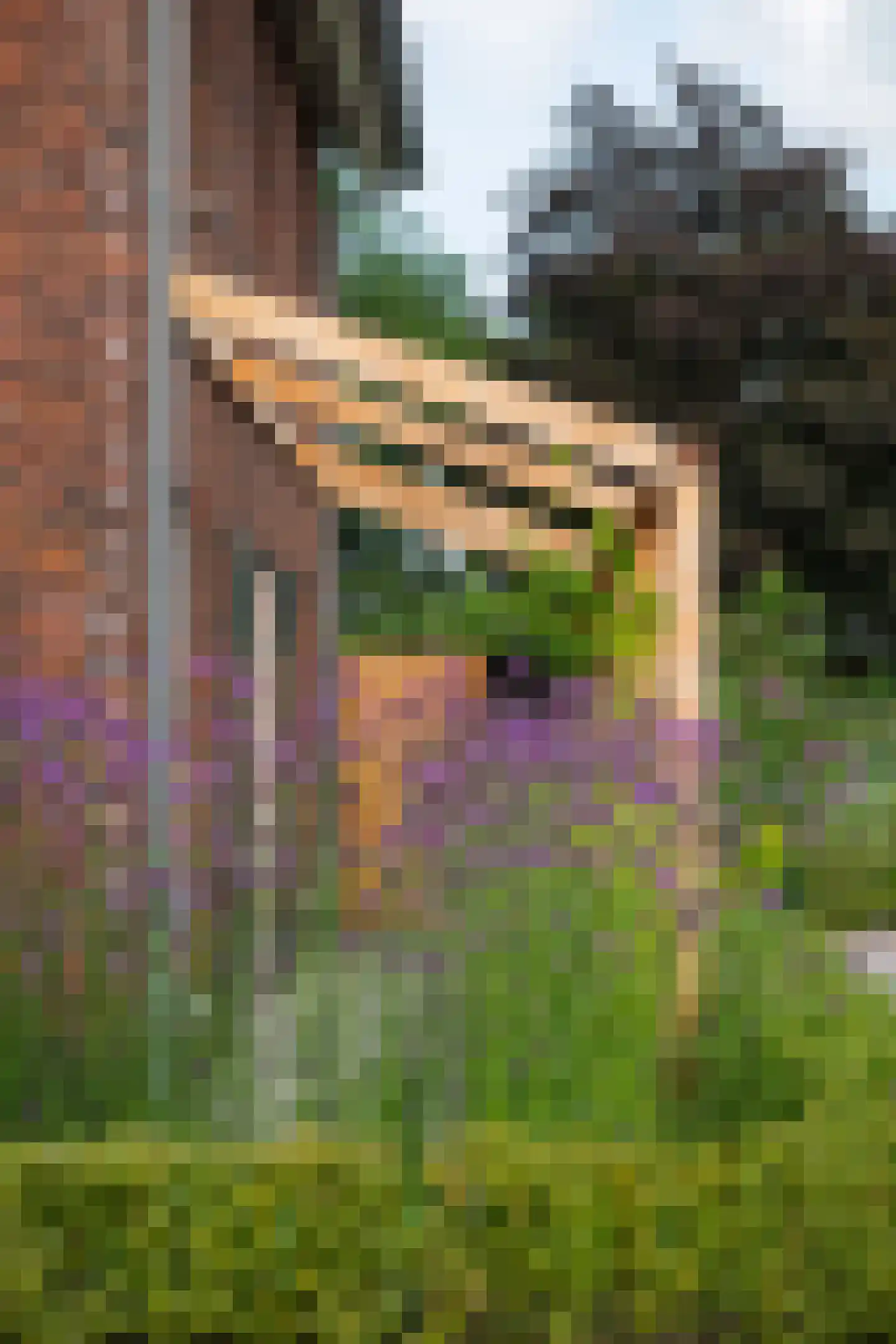 Rijdt 54 G Horssen thumbnail 33