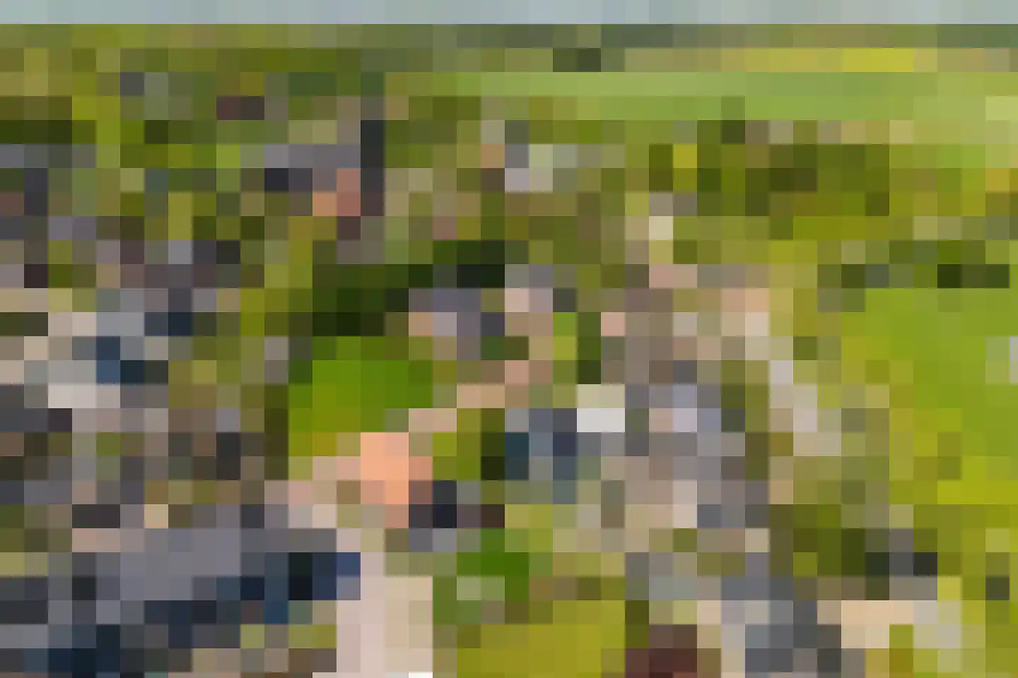 Rijdt 54 G Horssen thumbnail 37