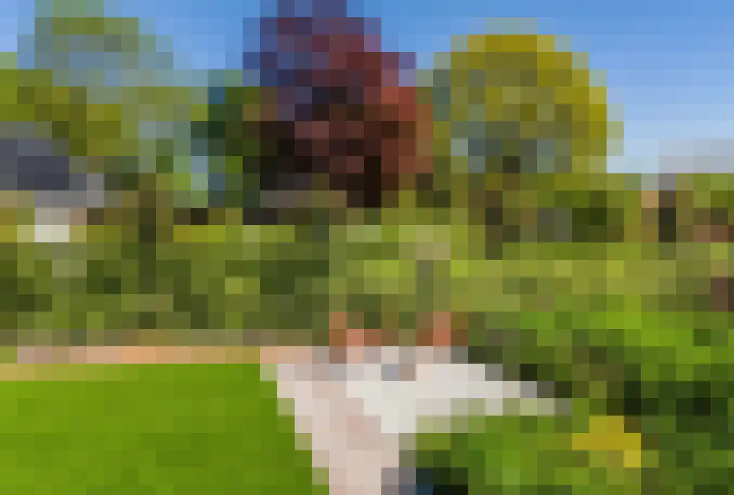 Rijdt 54 G Horssen thumbnail 6