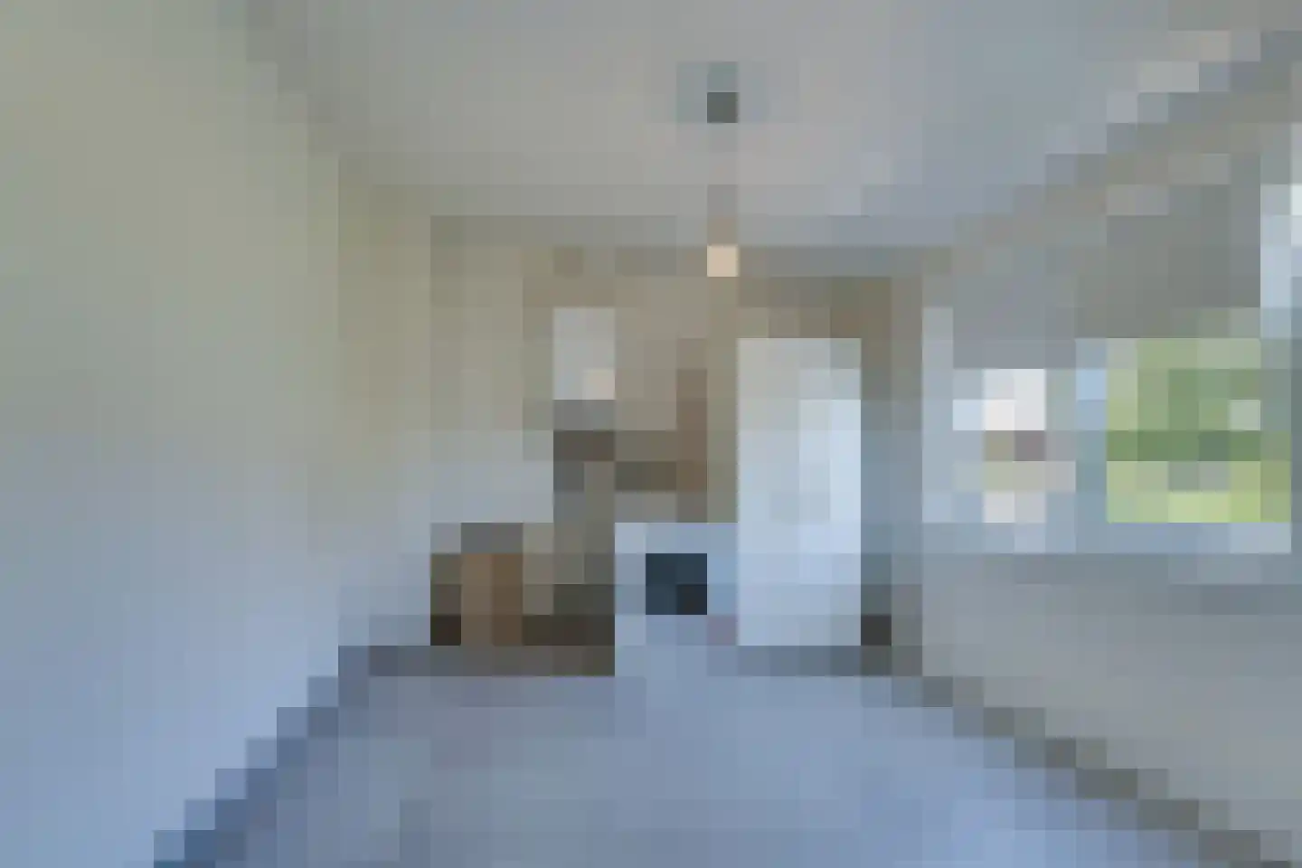 Rijdtstraat 49 A Susteren thumbnail 17