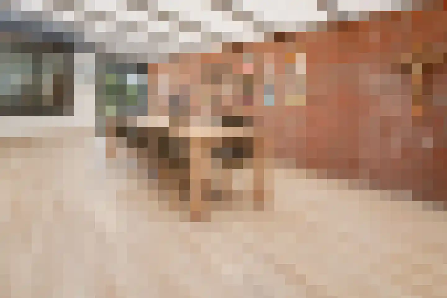 Rijdtstraat 49 A Susteren thumbnail 21