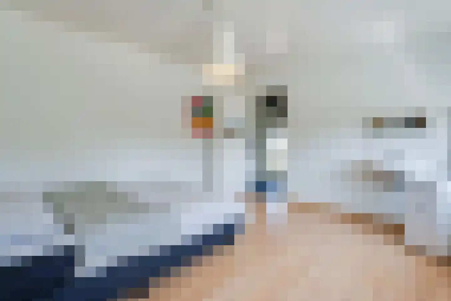 Rijdtstraat 49 A Susteren thumbnail 26