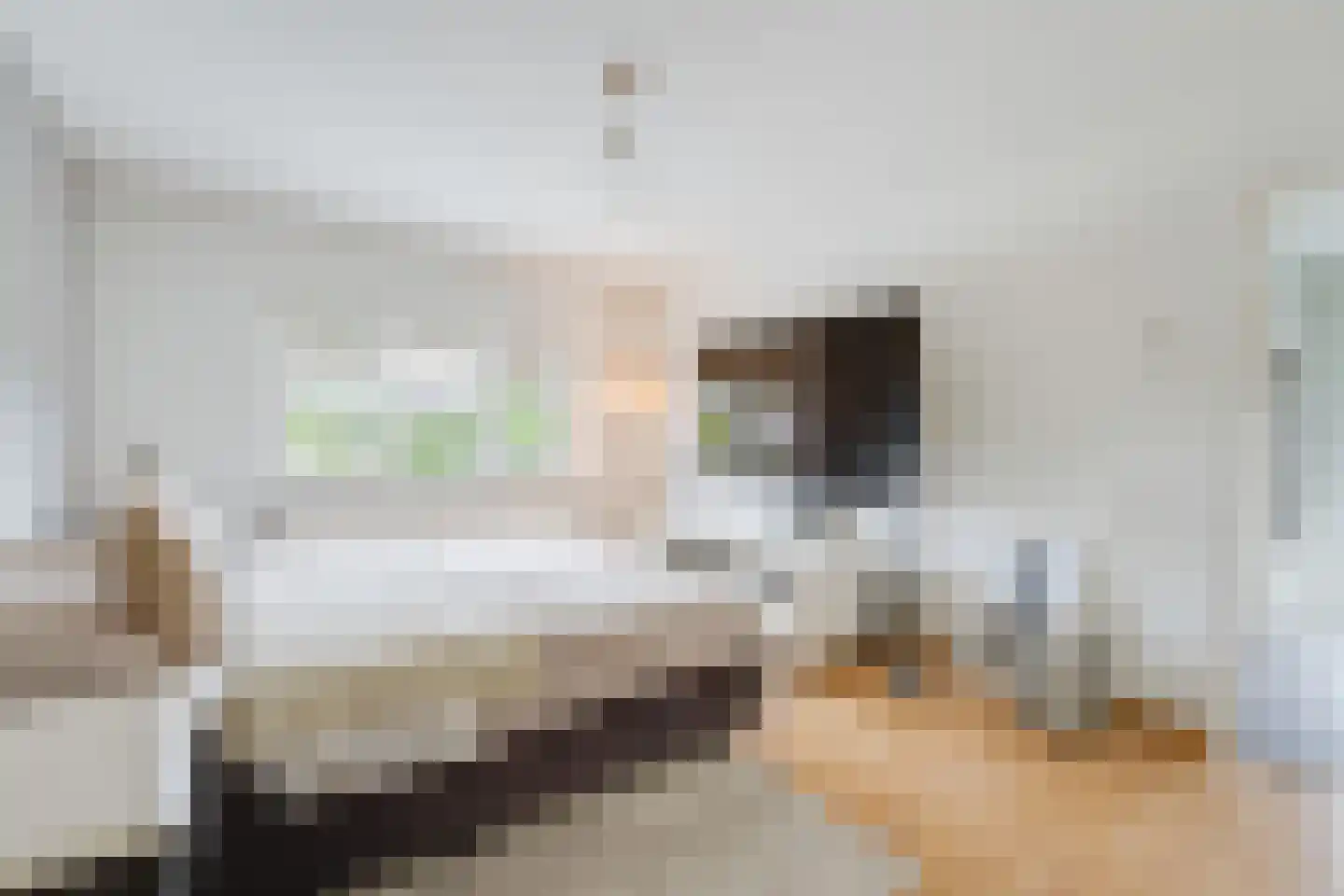 Rijdtstraat 49 A Susteren thumbnail 28