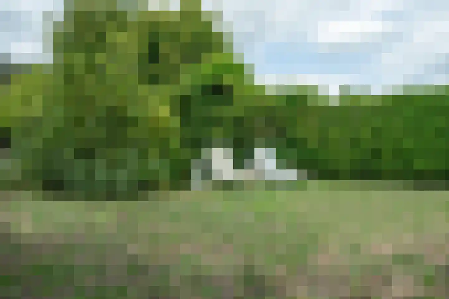 Rijdtstraat 49 A Susteren thumbnail 42