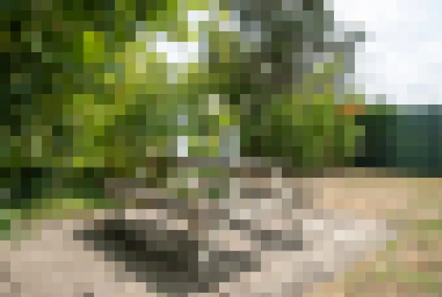 Rijdtstraat 49 A Susteren thumbnail 47