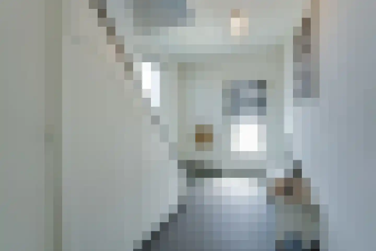 Rijdtstraat 49 A Susteren thumbnail 7