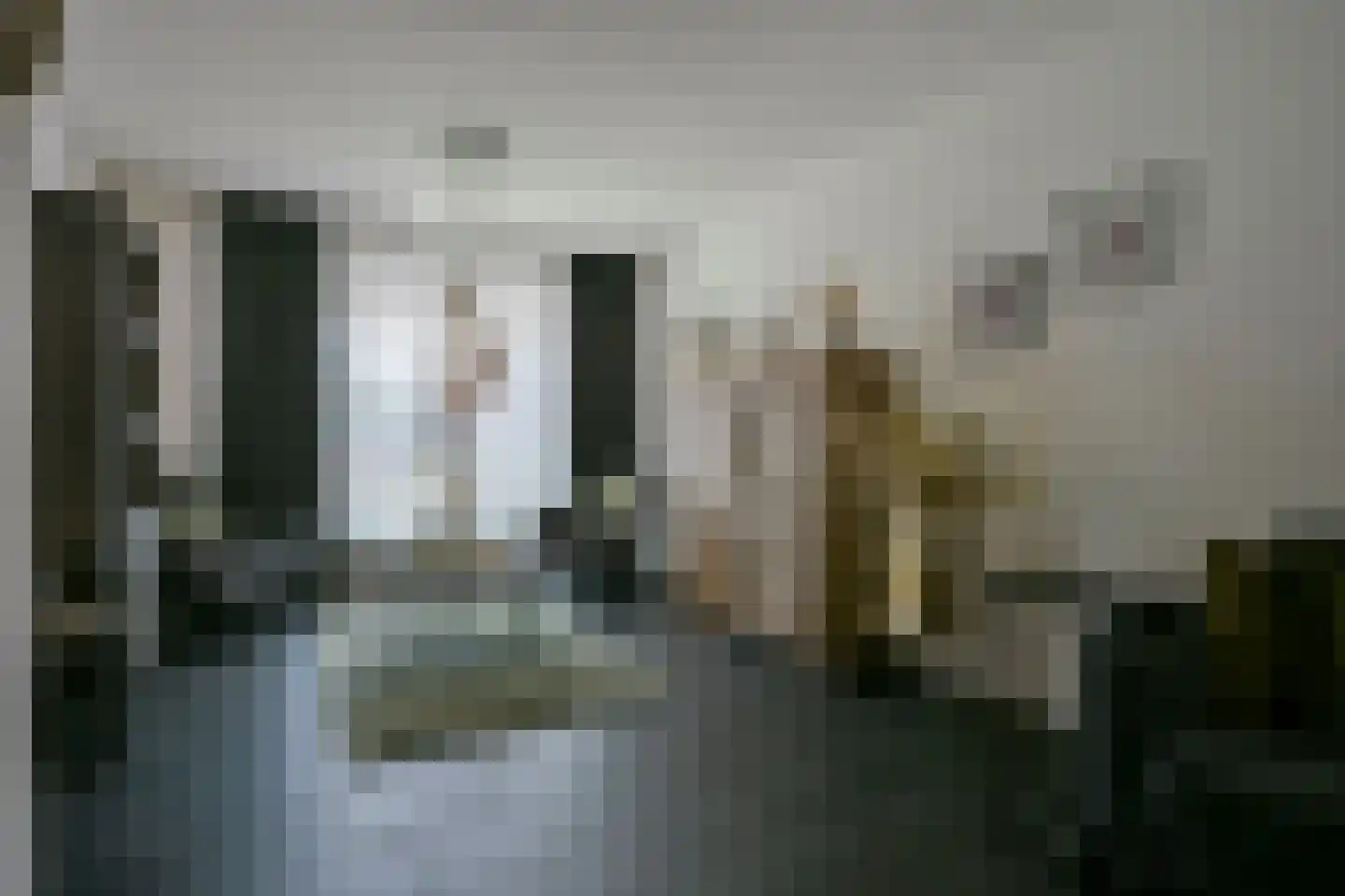 Rijdtstraat 75 Susteren thumbnail 10