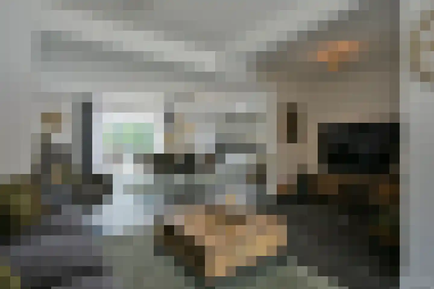 Rijdtstraat 75 Susteren thumbnail 11