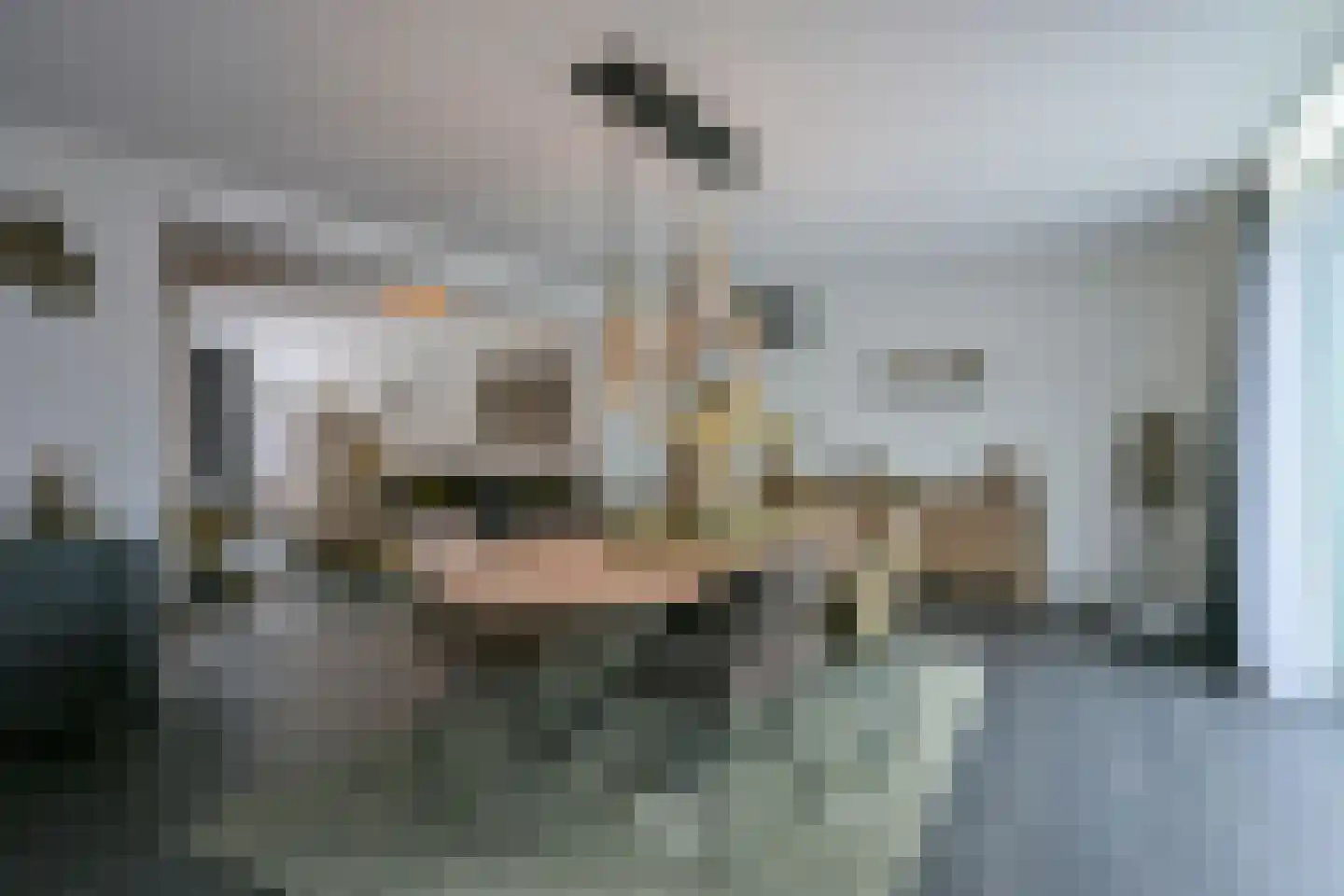 Rijdtstraat 75 Susteren thumbnail 15