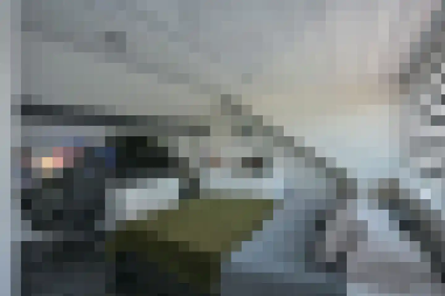 Rijdtstraat 75 Susteren thumbnail 6