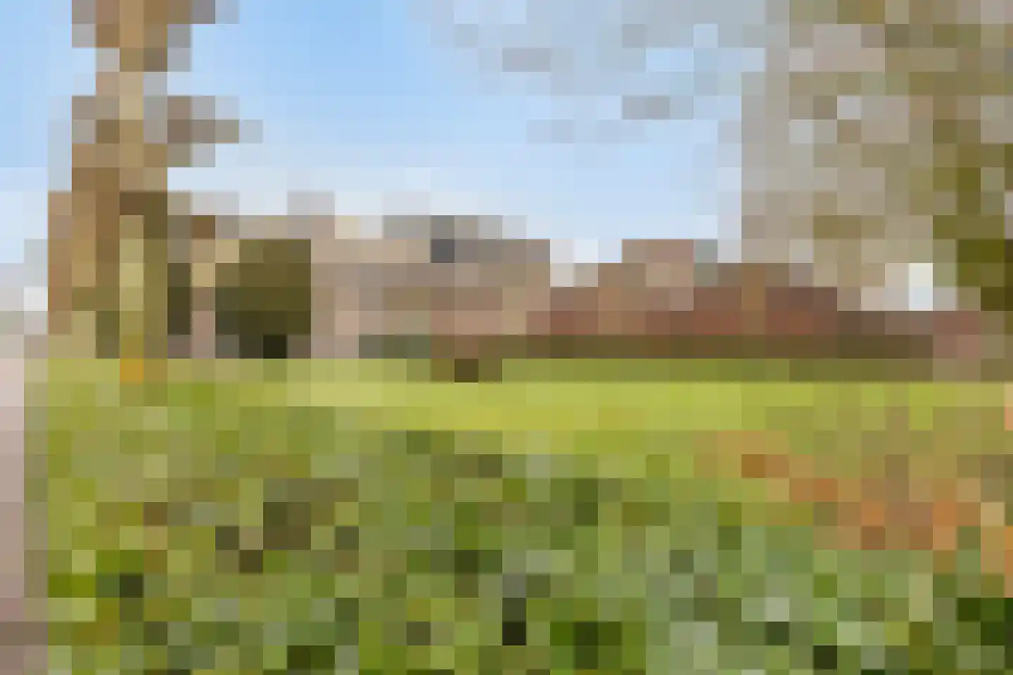 Rijensestraatweg 19 Dongen thumbnail 39