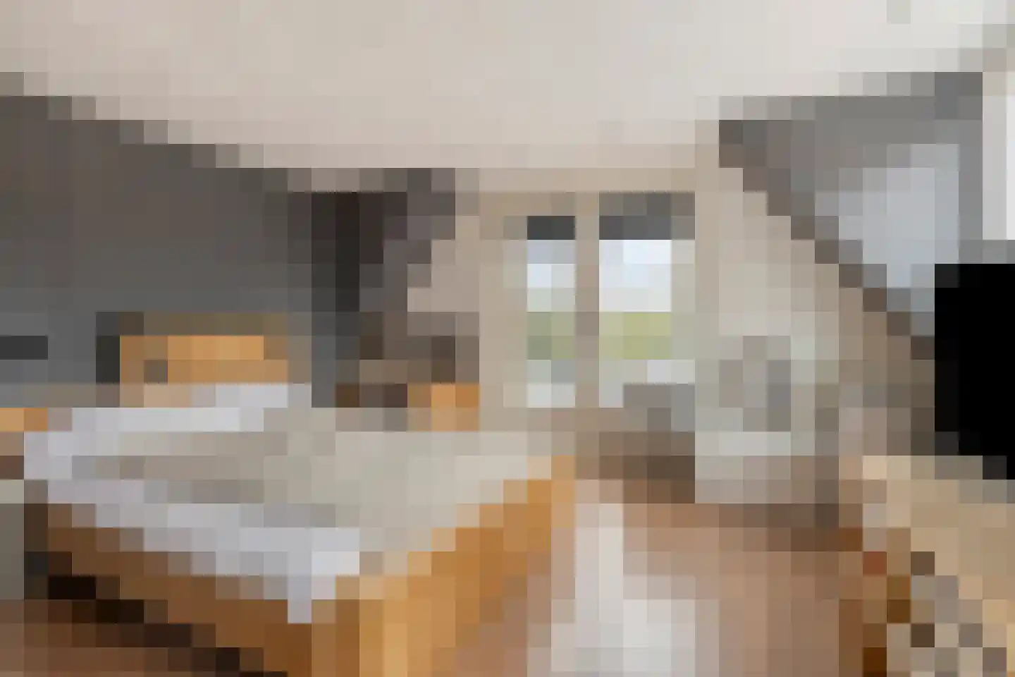 Rijensestraatweg 19 Dongen thumbnail 4